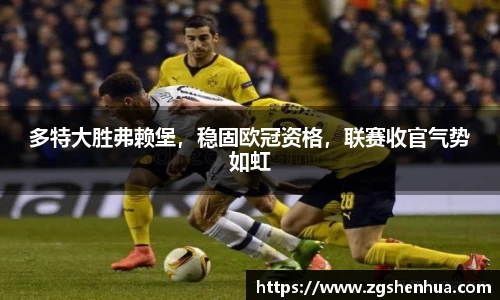 多特大胜弗赖堡，稳固欧冠资格，联赛收官气势如虹