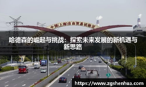 哈德森的崛起与挑战：探索未来发展的新机遇与新思路