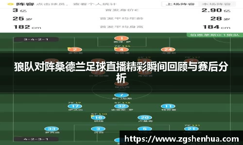 狼队对阵桑德兰足球直播精彩瞬间回顾与赛后分析