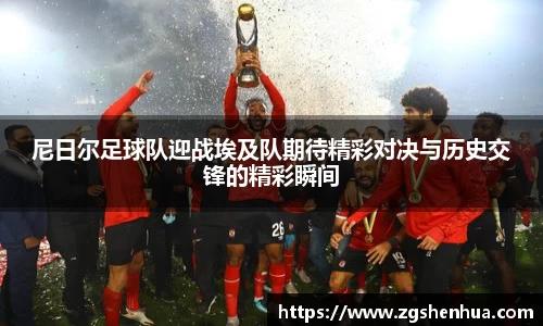 尼日尔足球队迎战埃及队期待精彩对决与历史交锋的精彩瞬间
