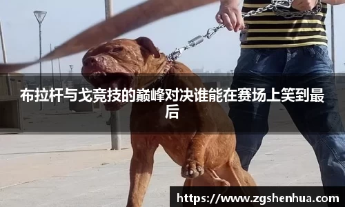 威九国际官方网站
