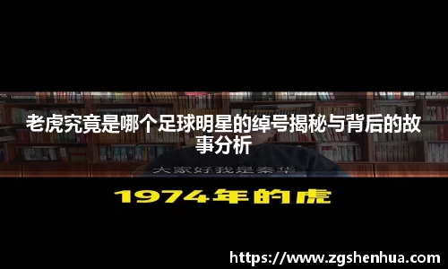 威九国际